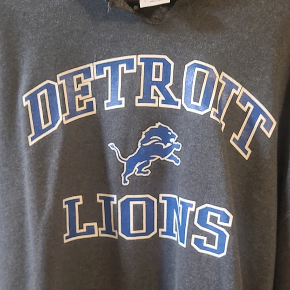 Detroit Lions Gray Hoodie - Picture 3 of 4